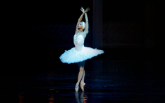 The Swan