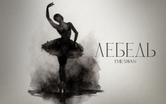 The Swan